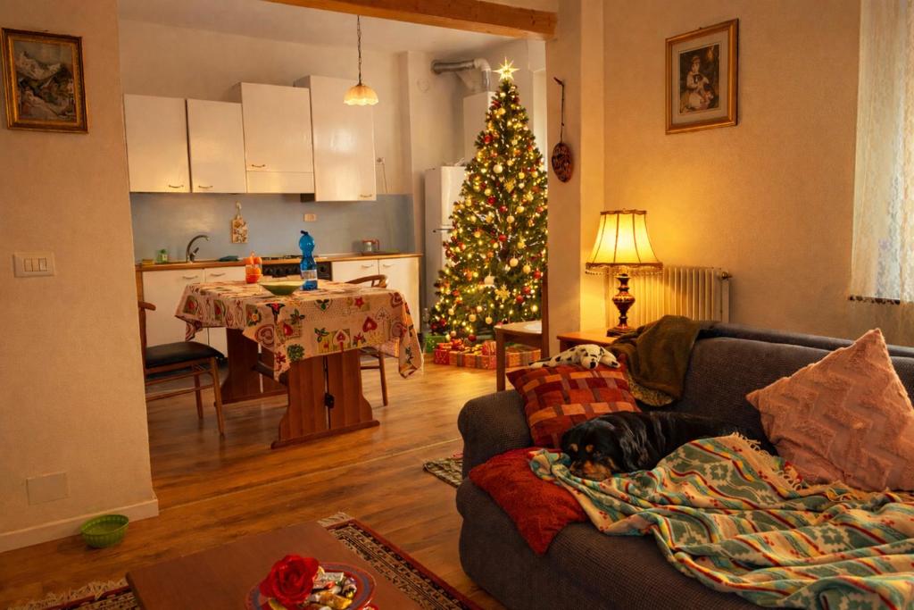 een hond die op een bank ligt in een woonkamer met een kerstboom bij Appartamento luna, vicino centro storico in Spilimbergo