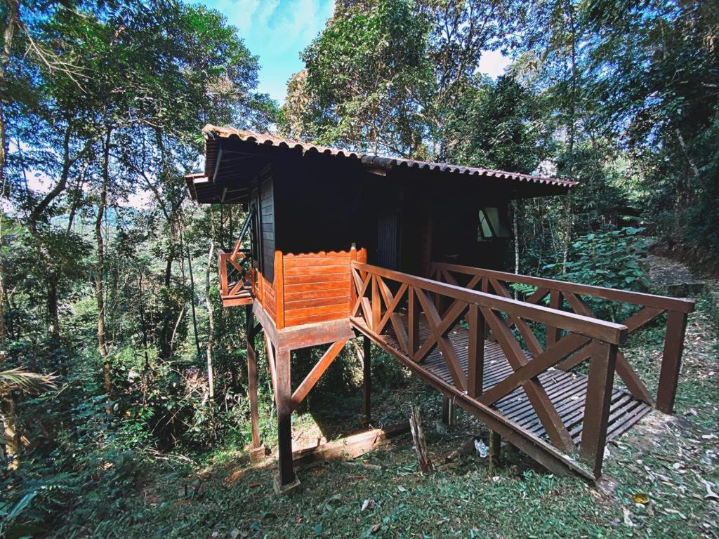 a small black house in the middle of a forest at Refugioecolodge in Nova Friburgo
