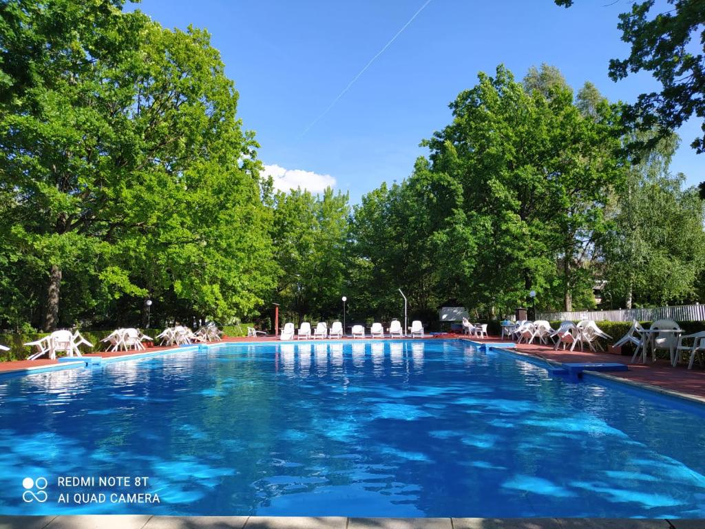 a large swimming pool with chairs and umbrellas at Üdülő in Gárdony