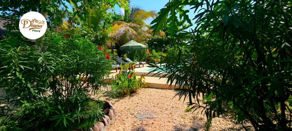 een tuin met bomen en stoelen en een parasol bij Diana Place in Paje