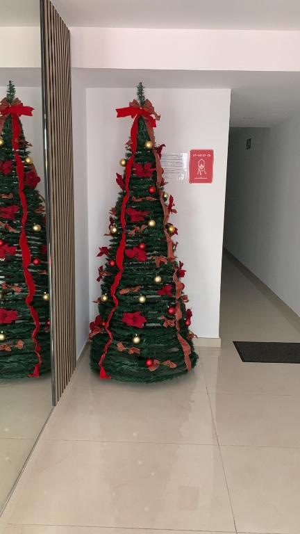 eine Gruppe von Weihnachtsbäumen in einem Zimmer in der Unterkunft White House in Castellón de la Plana