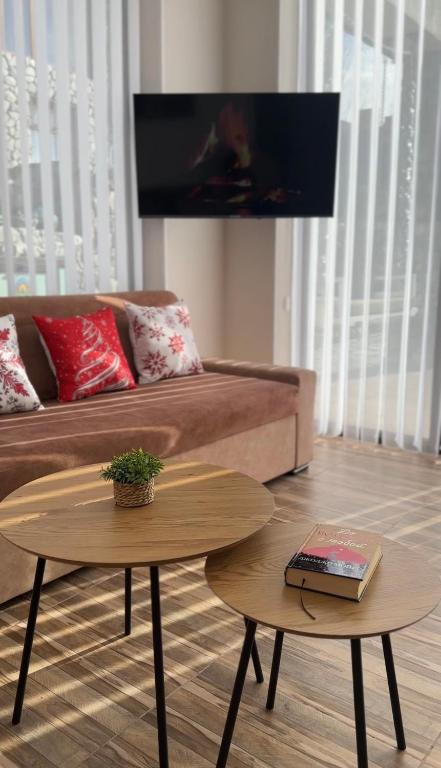 Televízia a/alebo spoločenská miestnosť v ubytovaní Spring House