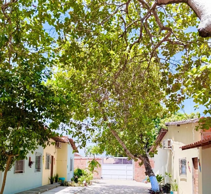 a tree in the middle of a street at Casa da Andrea 02 in Barreirinhas
