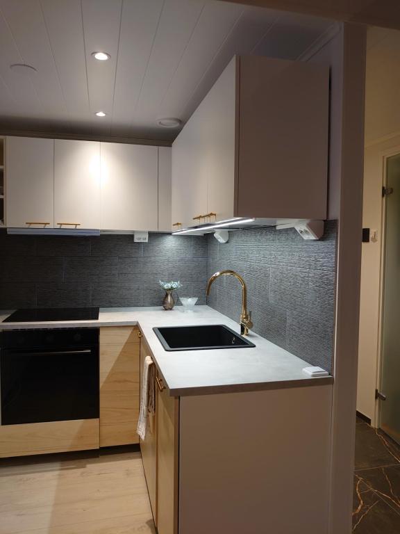 Kuchyň nebo kuchyňský kout v ubytování Holidayhome TahkonTintinlenkki