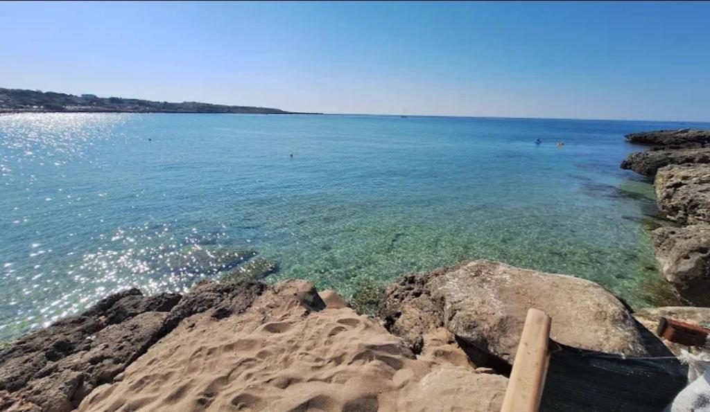 Naturlandskabet i nærheden af lejligheden