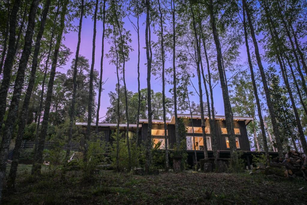 Tòa nhà nơi nhà gỗ tọa lạc