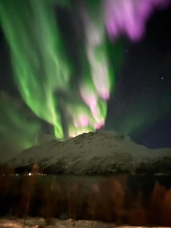 een beeld van het noorderlicht dat in de lucht danst bij LyNora Lodge 
