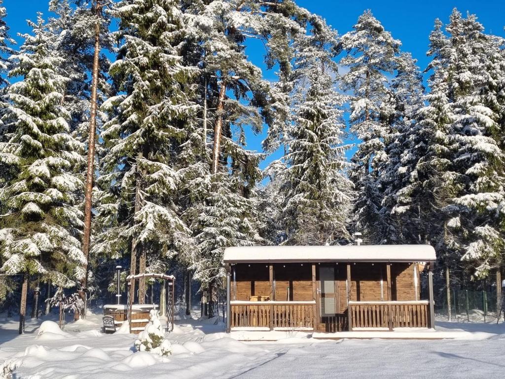ein schneebedecktes Gebäude vor Bäumen in der Unterkunft Villa Vlada retreat center and 2 houses in Gāršmuiža