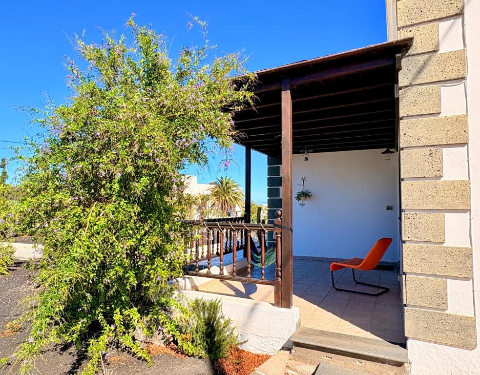 een huis met een patio met een boom en een stoel bij myplace in Tiagua