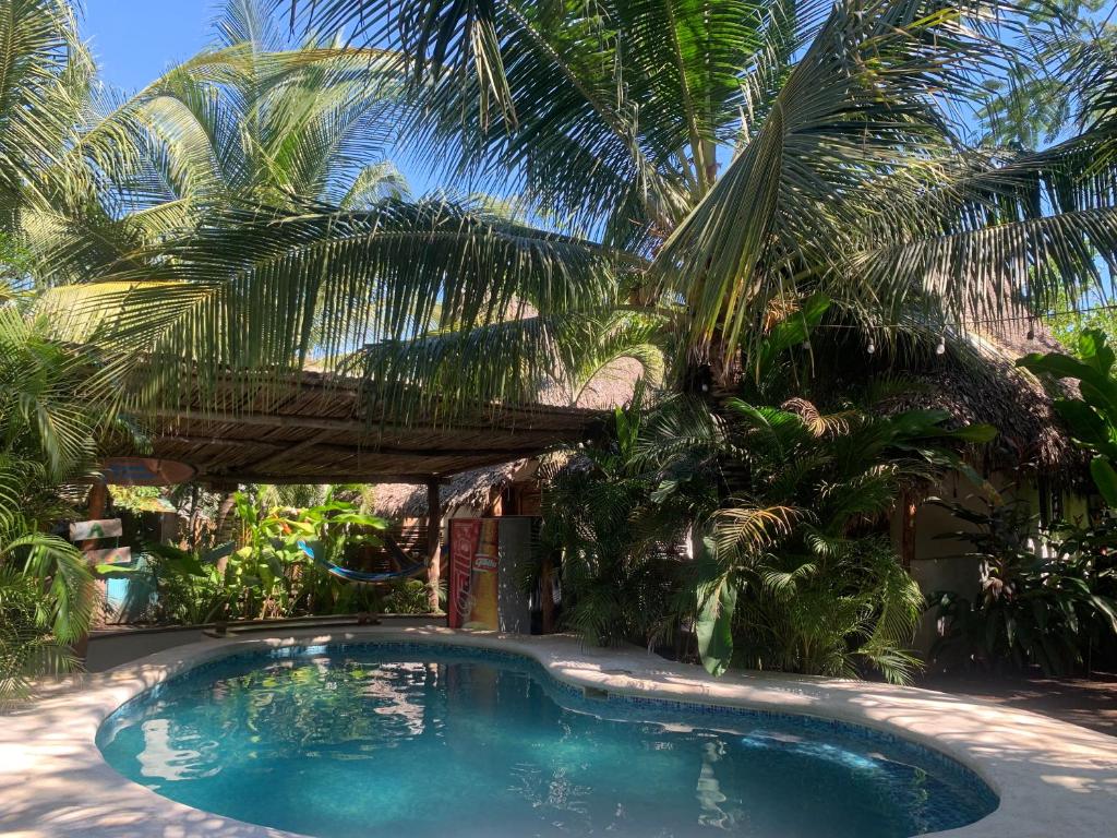 ein Swimmingpool in einem Garten mit Palmen in der Unterkunft Sunrise El Paredón in El Paredón Buena Vista