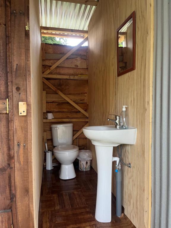 een badkamer met een wastafel en een toilet bij Glamping Peumayen Chucao in Llanquihue