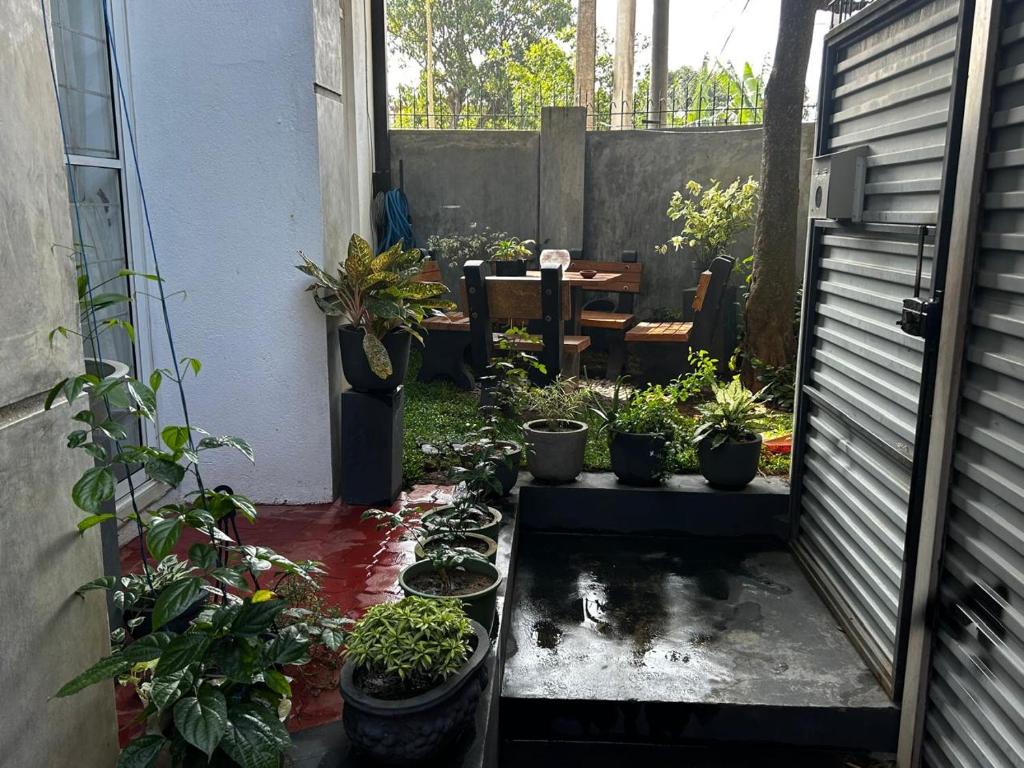 a patio with a bunch of potted plants on it at A&J Rest House in Kerawalapitiya