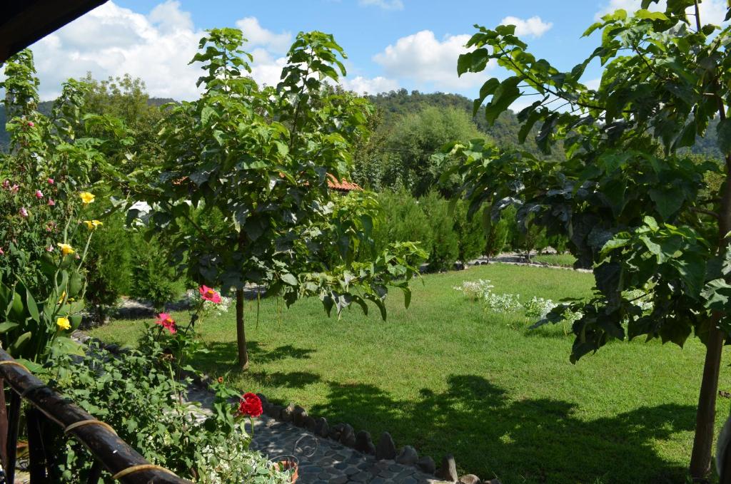 Zahrada ubytování Chateau Bruale