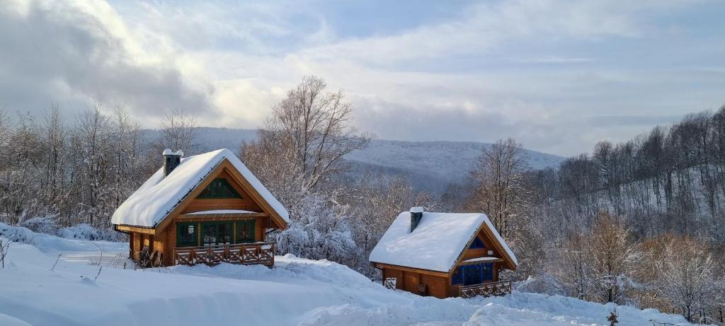 Tu W Dolinie in de winter