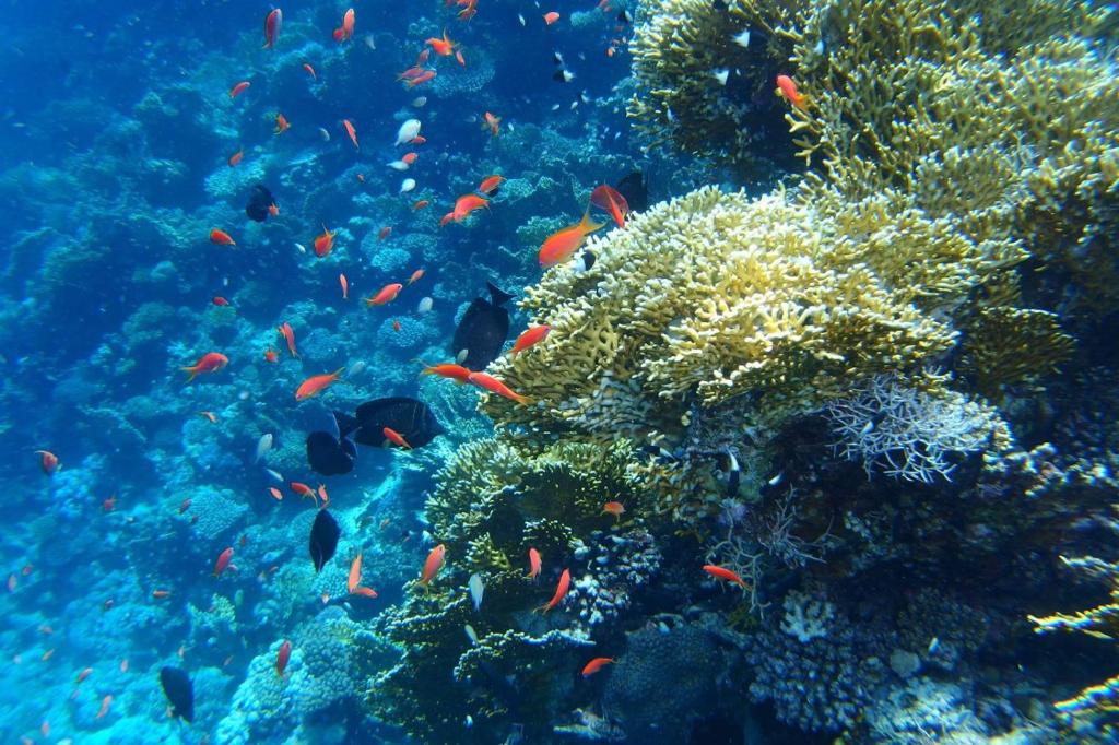 Phong cảnh thiên nhiên gần khách sạn