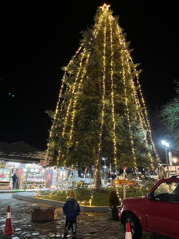 Afbeelding uit fotogalerij van Kostis Central Loft in Metsovo