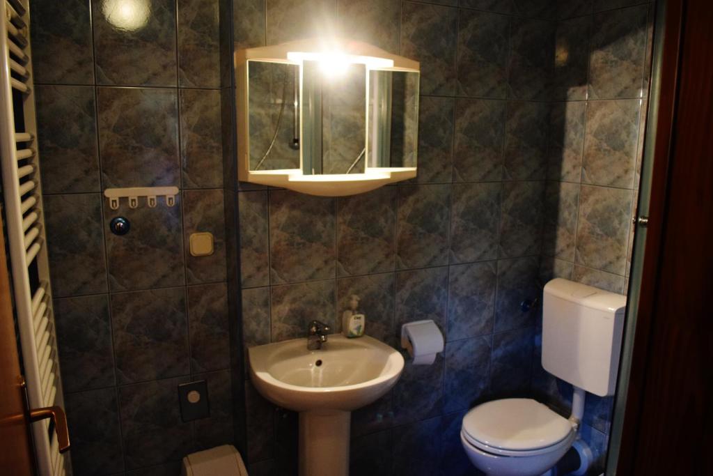 Koupelna v ubytování Apartment Doris Mrkopalj