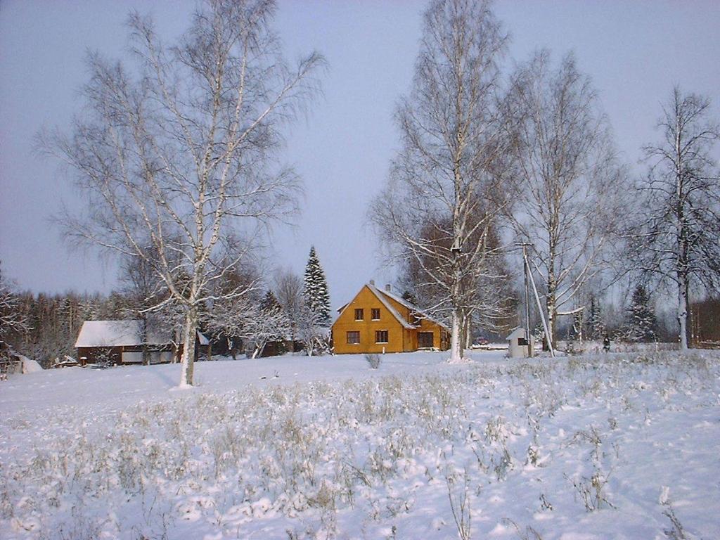 Udumäe Holiday Farm v zimě