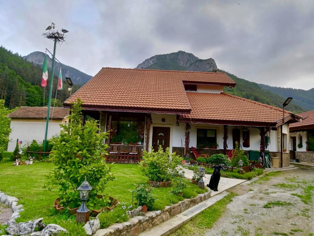 a house with a garden in front of it at Dolphin Residence Bulgaria in Zgorigrad