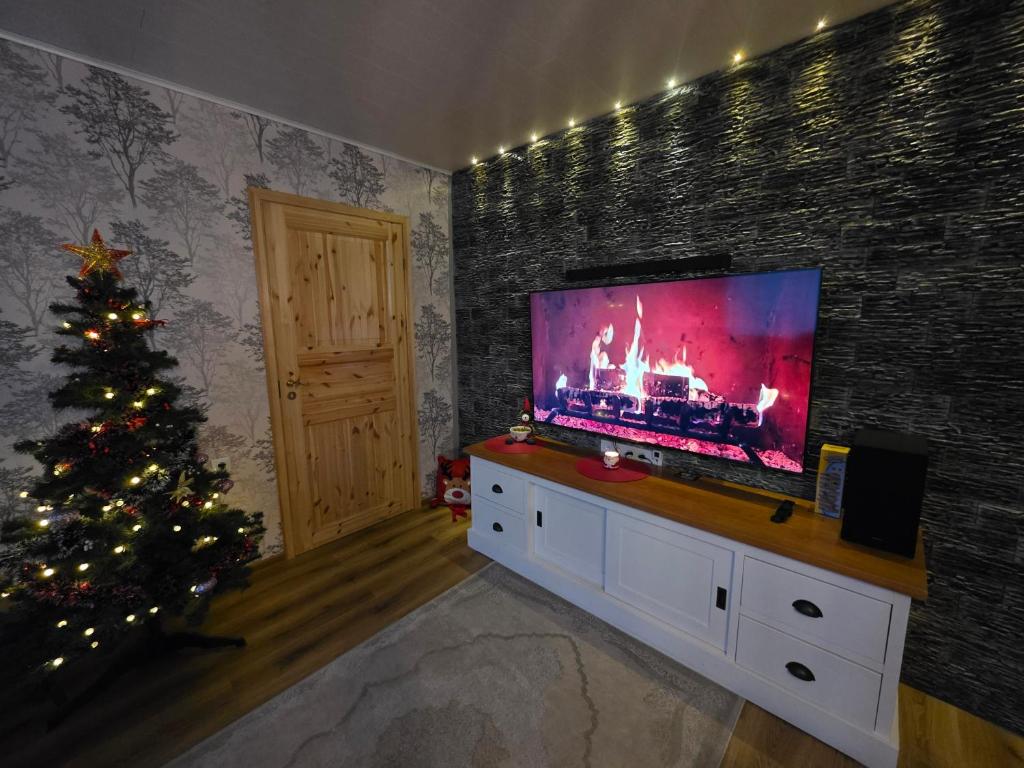 een woonkamer met een kerstboom en een televisie bij Green- Guest Apartment- Tapa in Taps