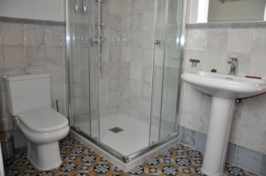 a bathroom with a shower and a toilet and a sink at Casa de las Remigias in Estepona