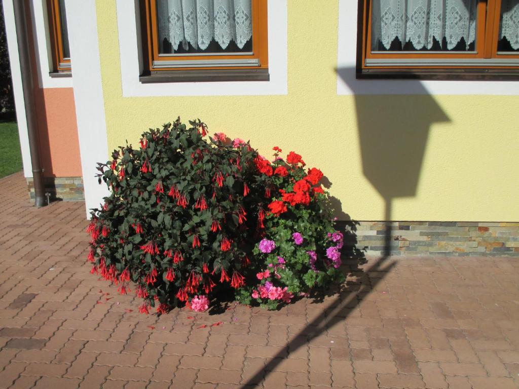 Zahrada ubytování Unterberger Vermietung & Verpachtung Zellermoosstraße 14