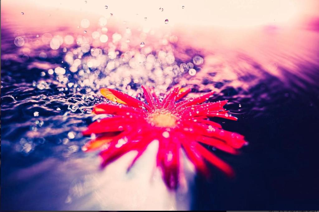 Billede fra billedgalleriet på The Nature Uno i Tamano