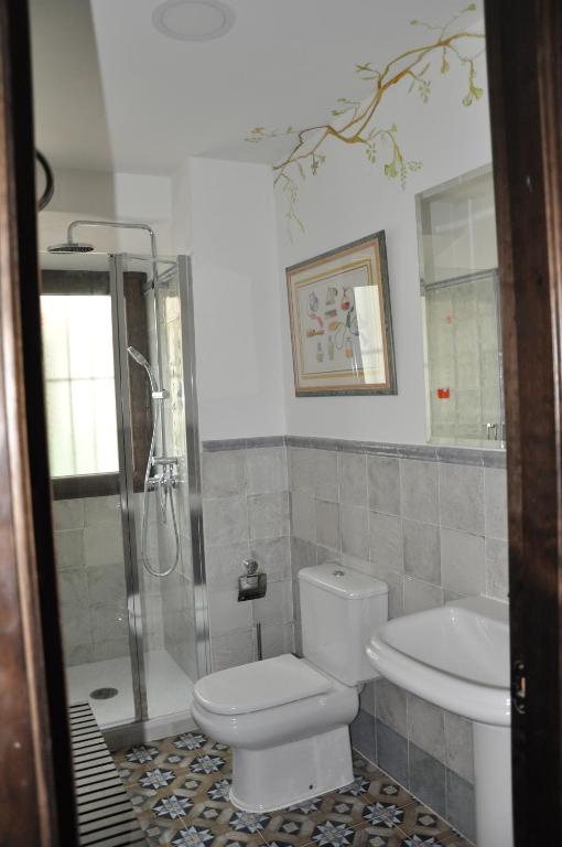 a bathroom with a toilet and a shower and a sink at Casa de las Remigias in Estepona