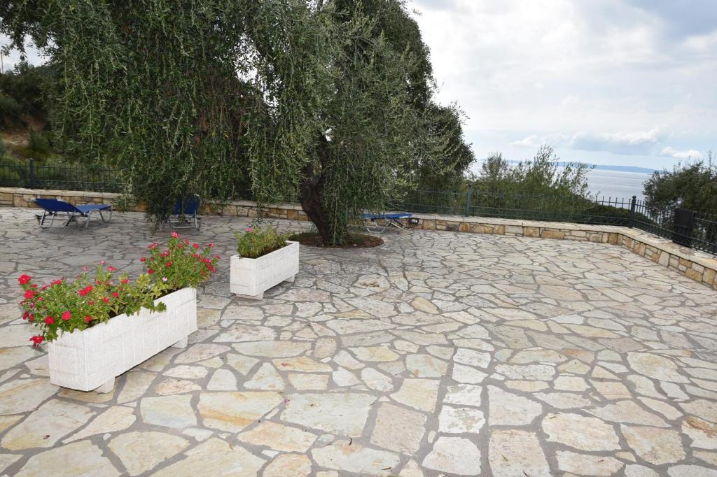 a patio with a tree and two white pots with flowers at Sivota Apartments in Syvota