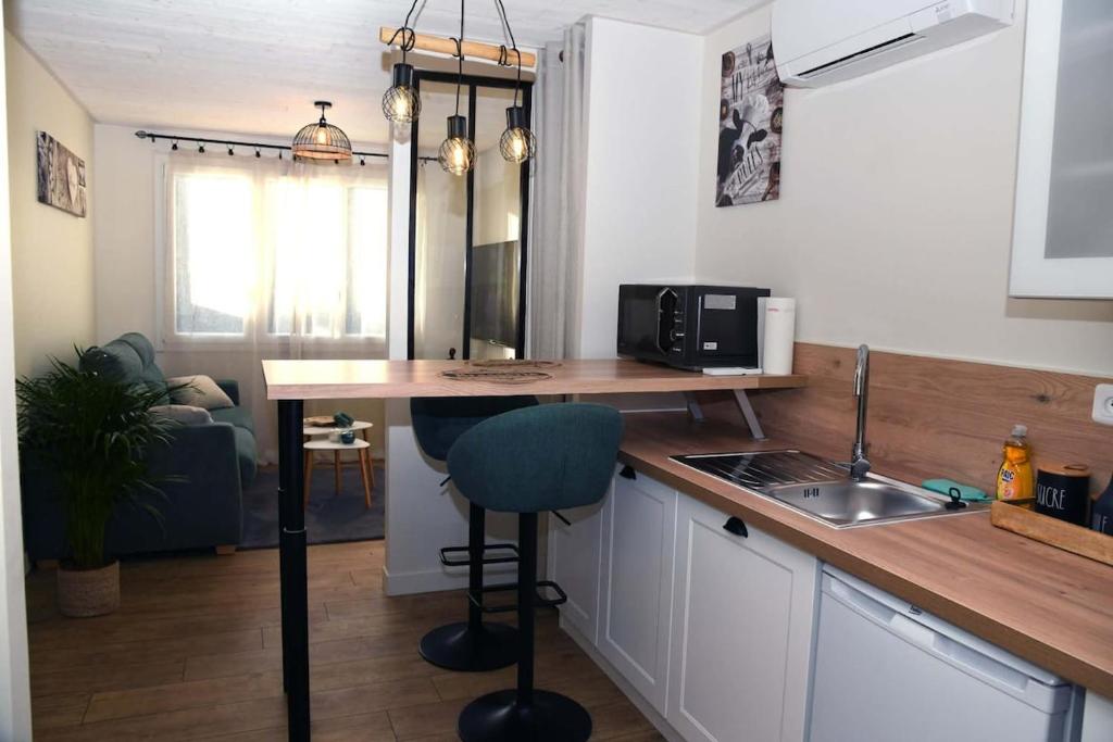 a kitchen with a counter with a sink and a microwave at Confortable studio avec jardin in Saint-Doulchard