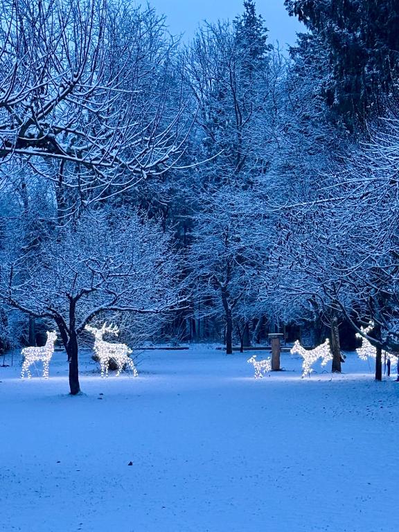 FACT Apartments - 19