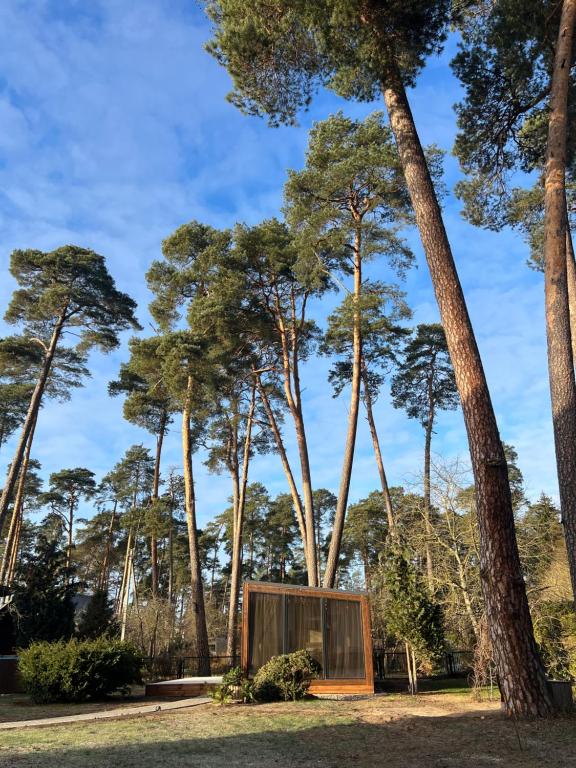 Ein Haus im Wald mit Bäumen im Hintergrund in der Unterkunft Walnut house in Kulautuva