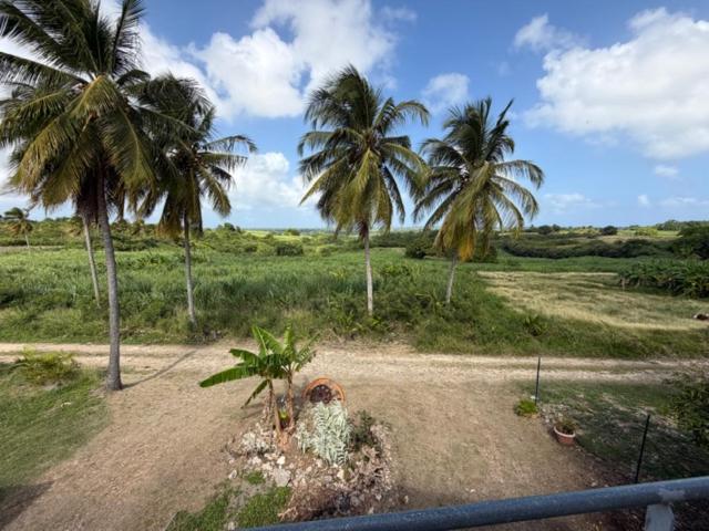 Příroda nedaleko venkovského domu