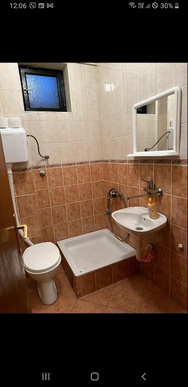 a bathroom with a sink and a toilet and a mirror at Lily in Sremska Kamenica