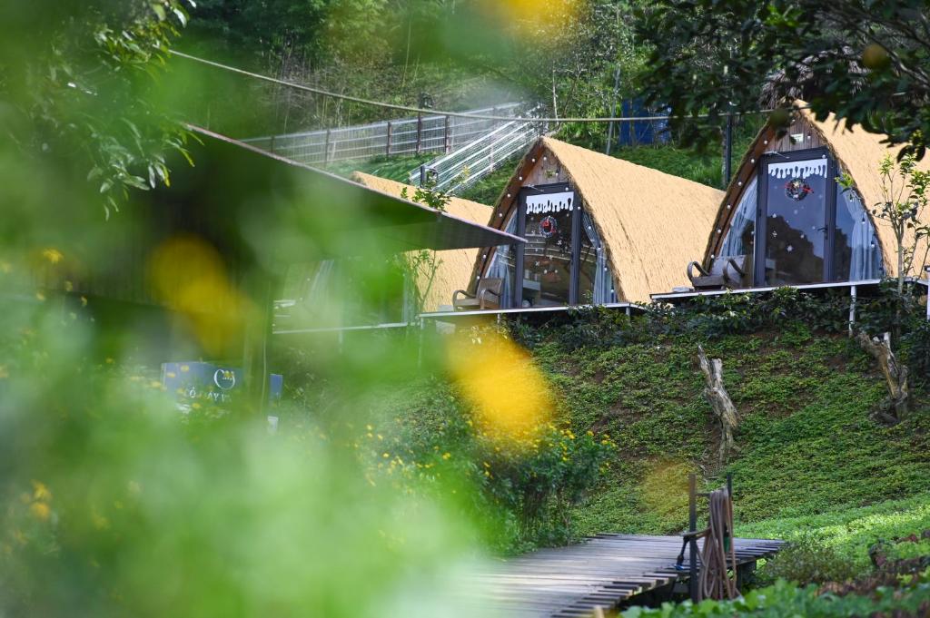 a couple of tents on a hill with trees at Cỏ Mây Wonder Homestay in Mộc Châu