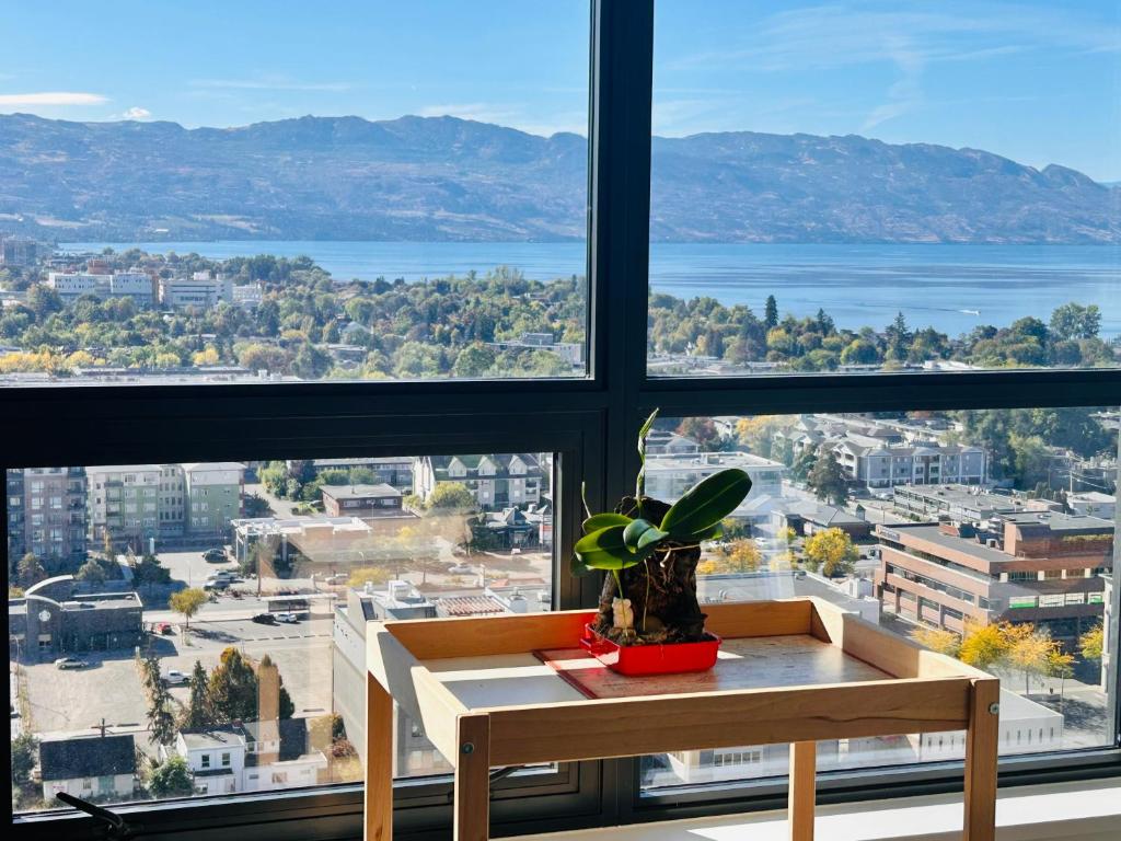 una pianta seduta su un tavolo di fronte a una finestra di Stunning Lake Views - downtown 2 Bedroom apartment - rooftop lounge a Kelowna