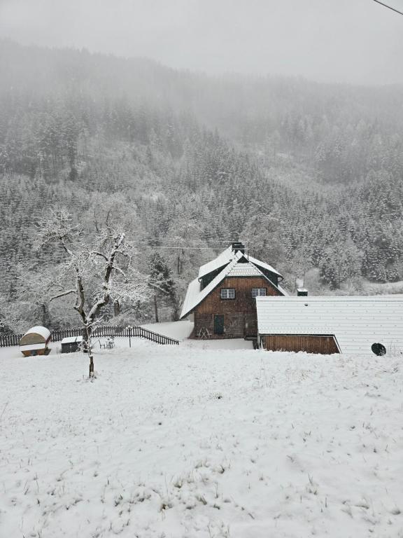 Landhaus Grünjuwel om vinteren