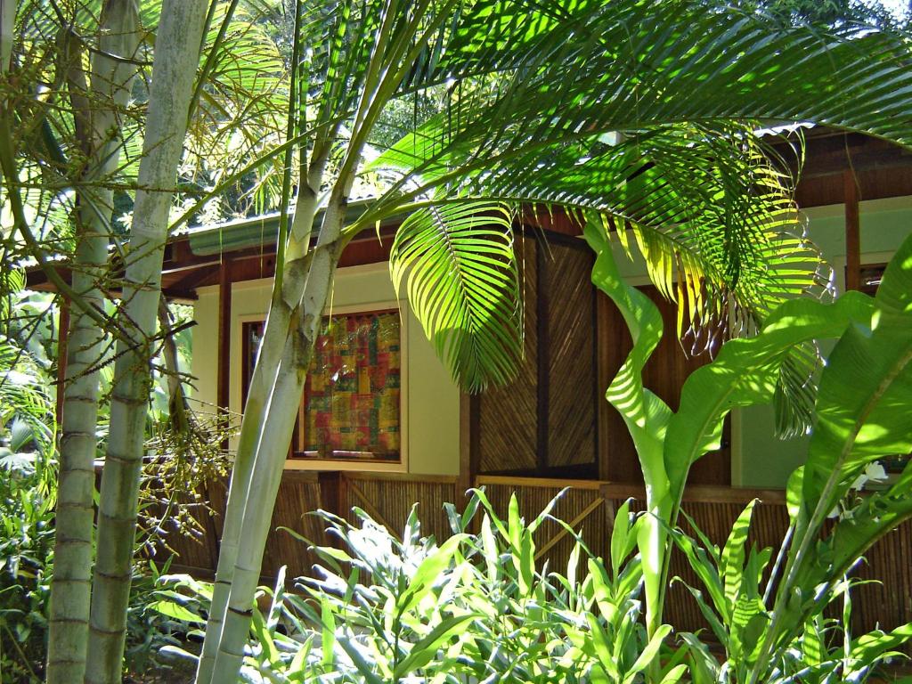Zahrada ubytování El Colibri Lodge