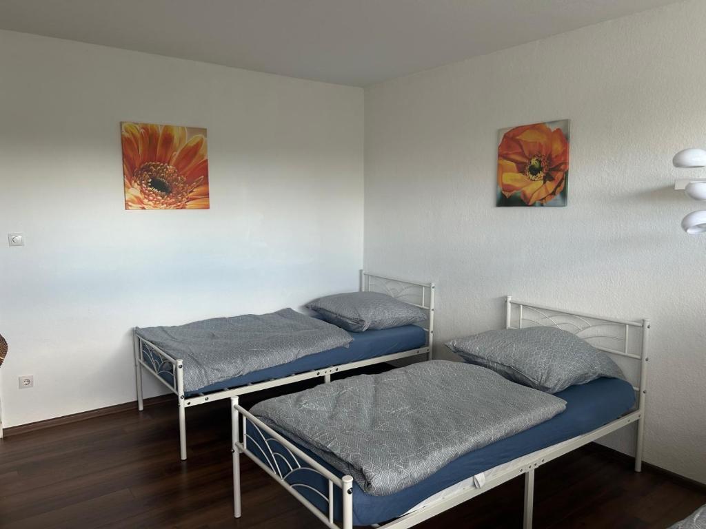 two bunk beds in a room with two paintings on the wall at Daios in Wathlingen