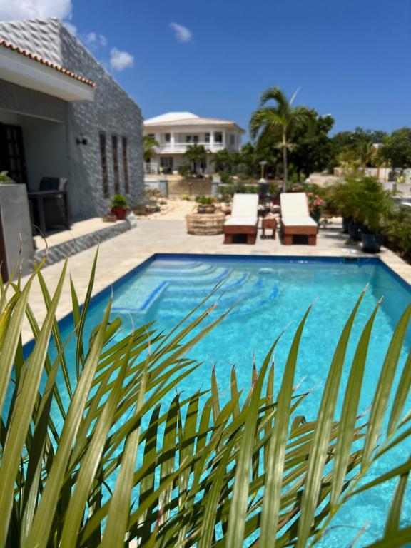 Bazén v ubytování Kas Emmali Curacao nebo v jeho okolí