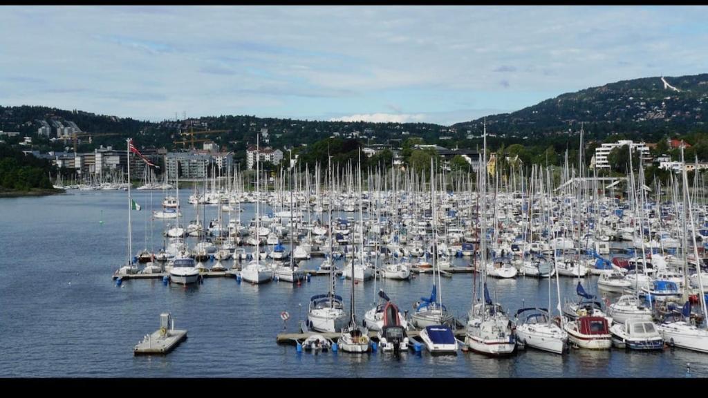 a bunch of boats are docked in a harbor at Modern Oslo Studio Near Aker Brygge in Oslo