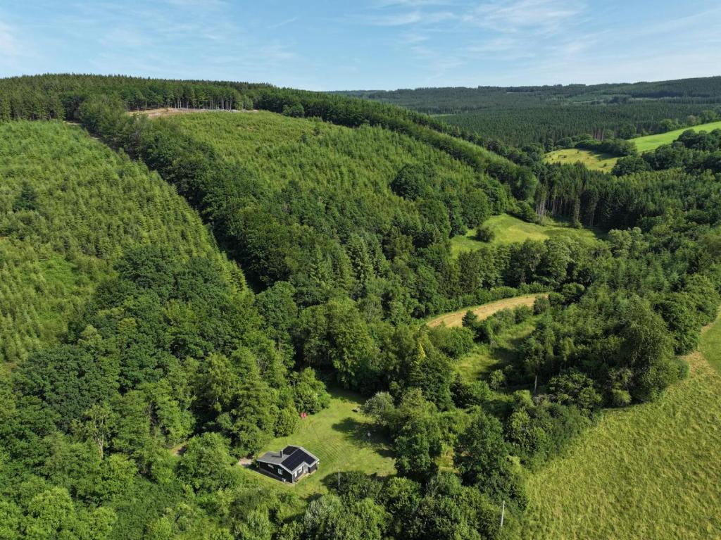 an aerial view of a house in the middle of a forest at Chalet Woodyoustay in Theux