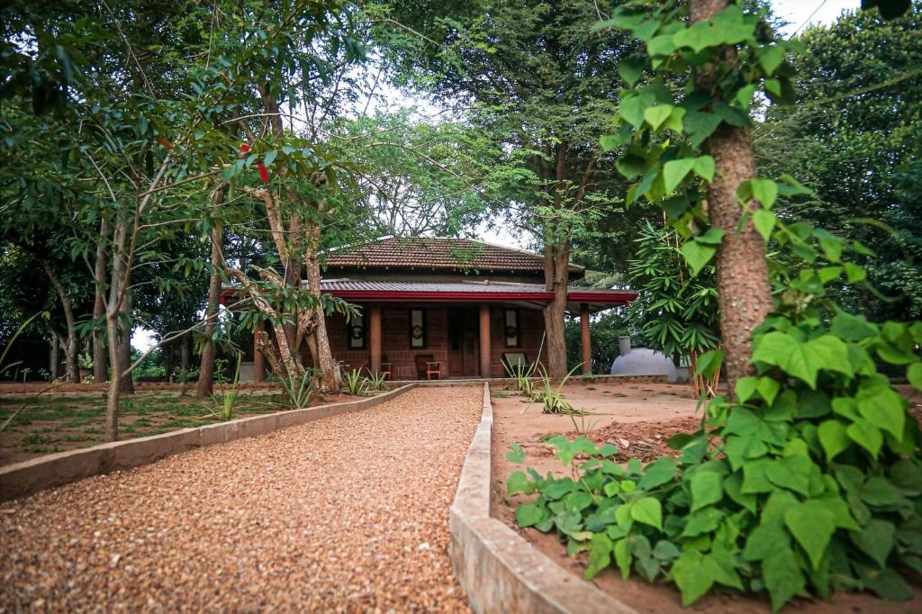 En have udenfor Yala Masan Hideout