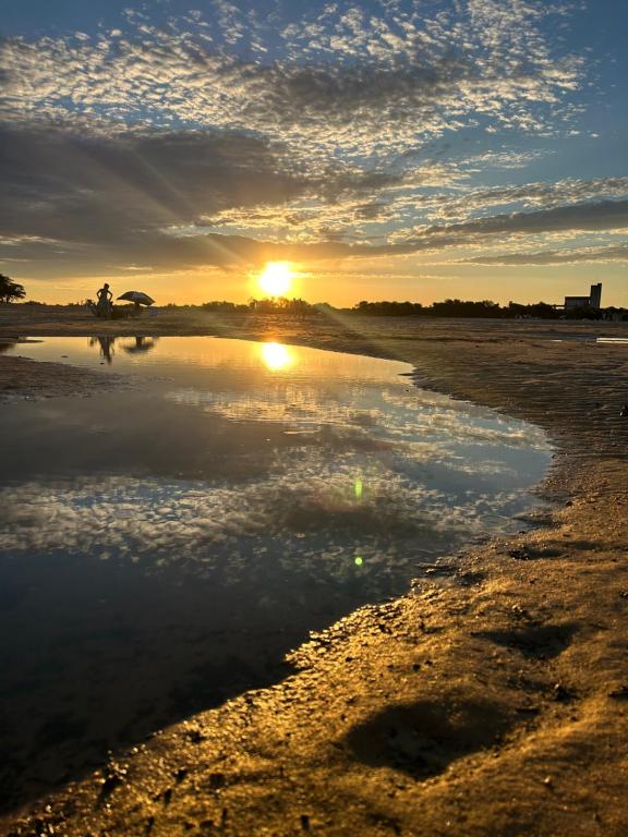 Naturlandskabet i nærheden af lejligheden
