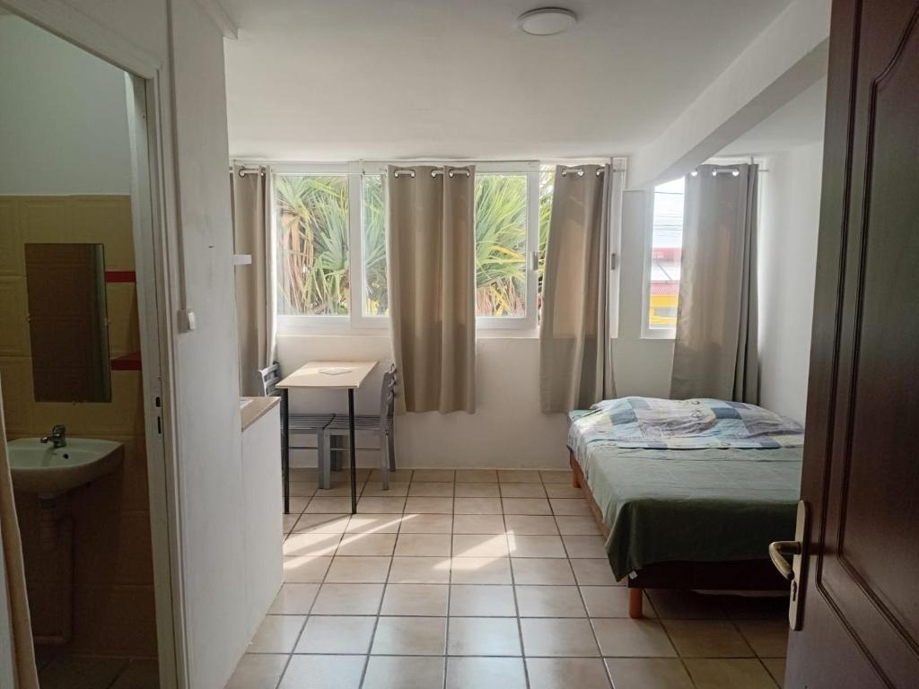 Schlafzimmer mit einem Bett, einem Waschbecken und Fenstern in der Unterkunft Studio Vue Mer 24h24 7j7 in Petite Île