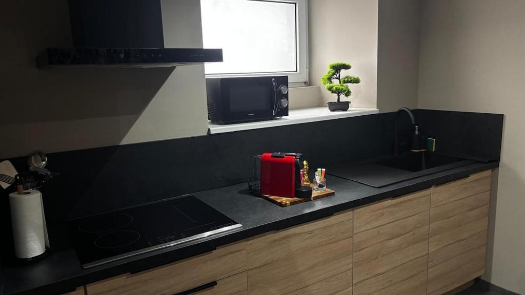 Suite intime avec sauna à Guebwiller – photo 16