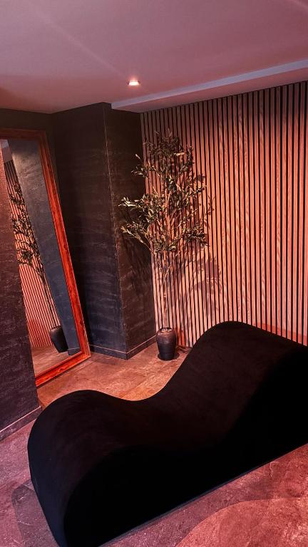 Suite intime avec sauna à Guebwiller – photo 10