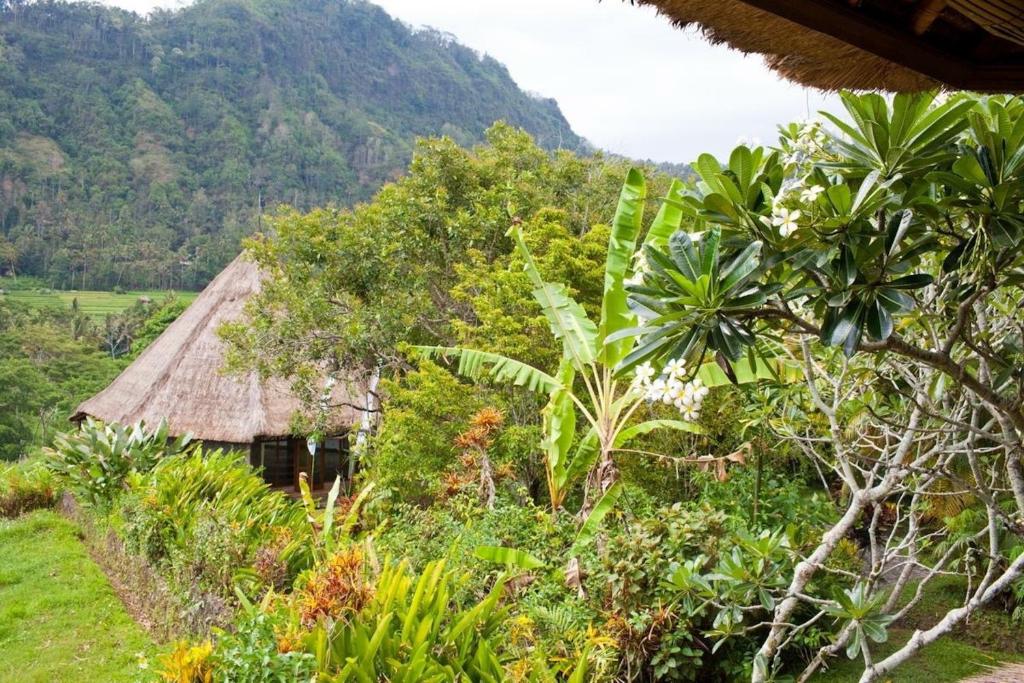 Nirarta Center For Living Awareness - 10