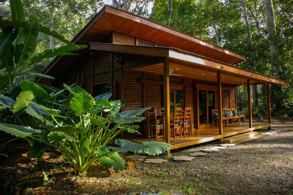 En have udenfor Casa Arima