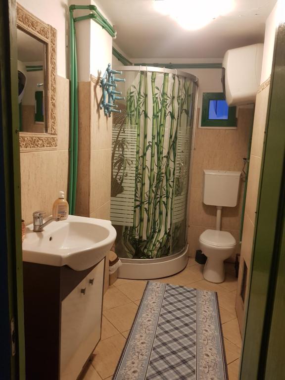 un bagno con doccia, lavandino e WC di Casa La Casiru 17 a Straja